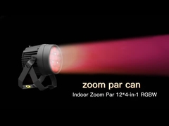 Indoor 16*10W 4 In1 RGBW LED Stage Lighting Zoom 5-60 Degree Par Light