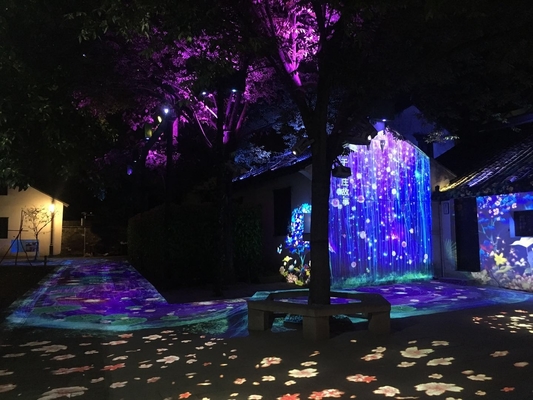 LED Light Source Outdoor Gobo Projector 60 W 100 W 200 W 400 W For Cultural Tourism Market