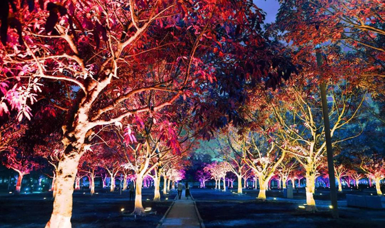 DMX512 RGBW 36W Tree LED Flood Light LED Garden Lamp For Landscape Projection