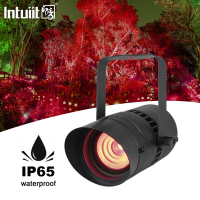Spotlight 15W DMX512 RGBW Narrow Beam Directional Landscape Outdoor Garden Light