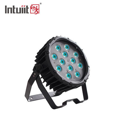 12 LED RGBWA Good Color Mixing Compact LED par can stage light