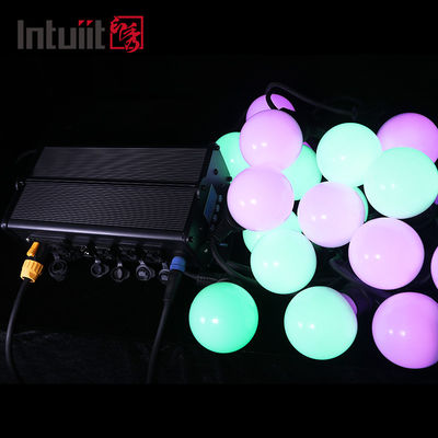 Controller Operated 60 LED Globe String Lights Set For Christmas Tree Wedding