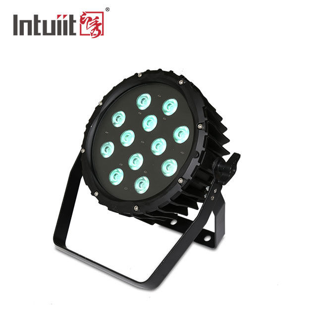 Outdoor 12 LED RGBWA Good Color Mixing Compact LED par can stage light