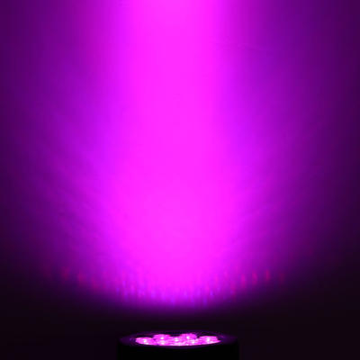 12*10W RGBW 4 In 1 IP65 LED Par Can Stage Event Show Lighting Outdoor LED Par