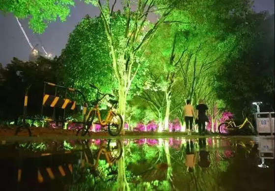 DMX512 RGBW 36W Tree LED Flood Light LED Garden Lamp For Landscape Projection