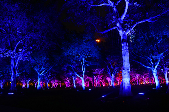 36w Outdoor Colors Rgb Led Garden Tree Flood Light For Landscape Projection