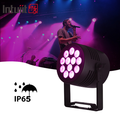 IP65 Outdoor LED 12x20w RGBWA-UV 6in1 Event DJ Wash DMX 512 Waterproof LED Par Light